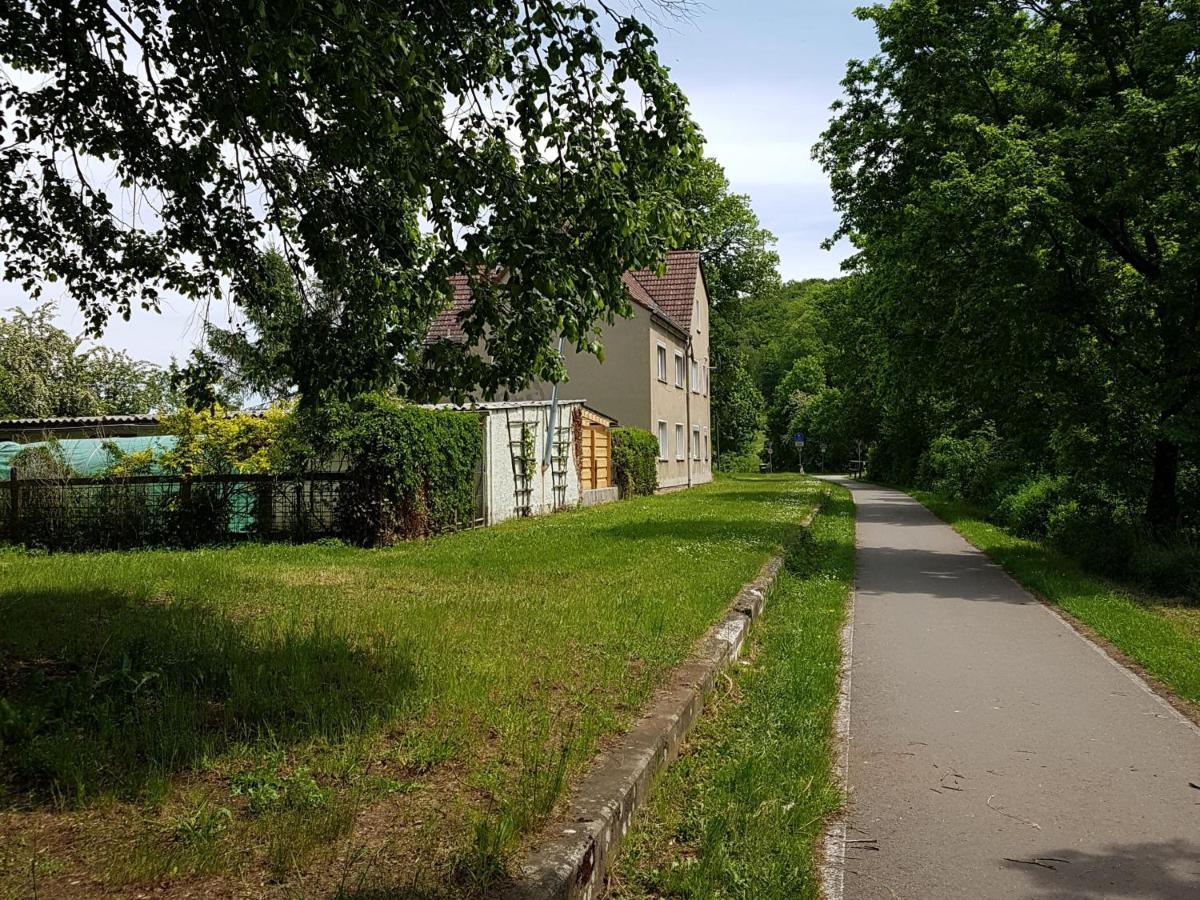 Ferienwohnung Am Thueringen Radweg Rauda Екстериор снимка